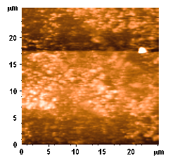 Topography image of ferromagnetic garnet.