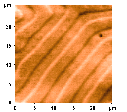 Magnetic Force Microscopy image of ferromagnetic garnet.