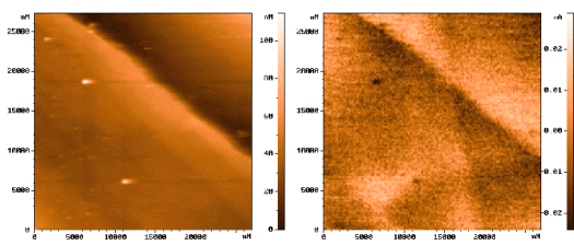 Topography and MFM image of antiferromagnetic NiO.